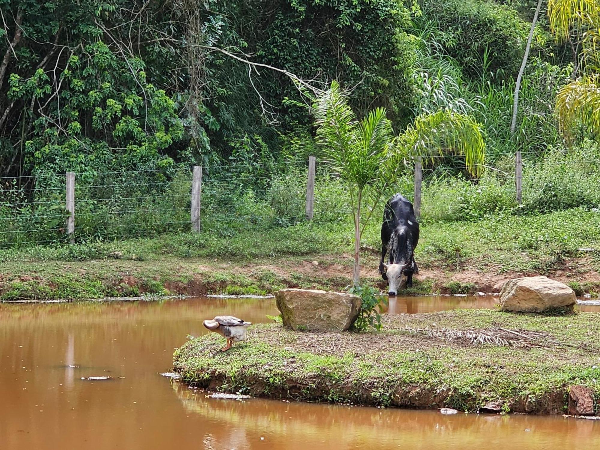 Villa Sitio Reis Membeca Paraíba do Sul Esterno foto