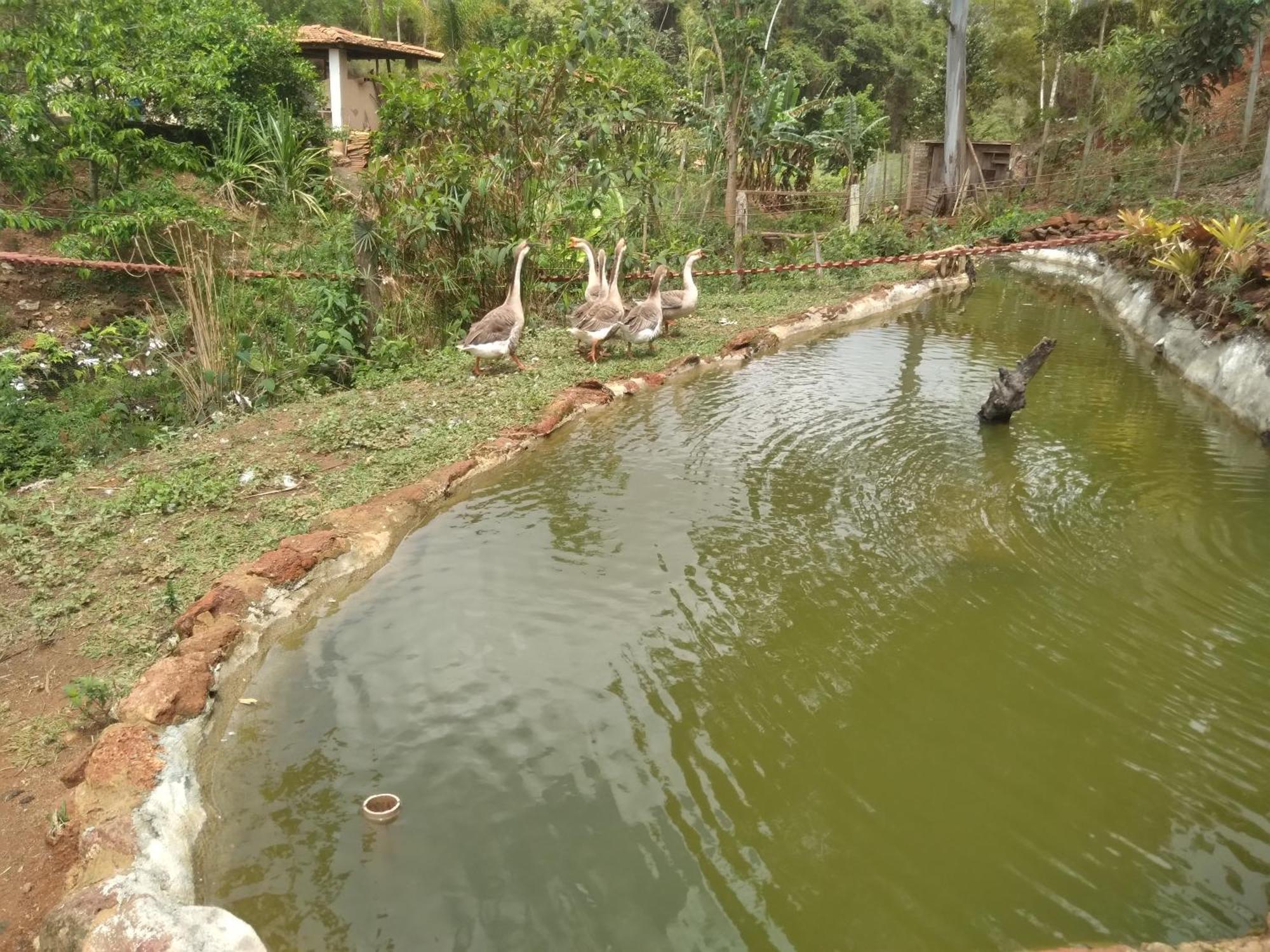 Villa Sitio Reis Membeca Paraíba do Sul Esterno foto